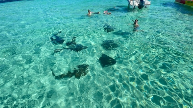 Roatan East End Tour – Saint Helene & Mangroves